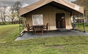 De Terp - Camping Buorren1